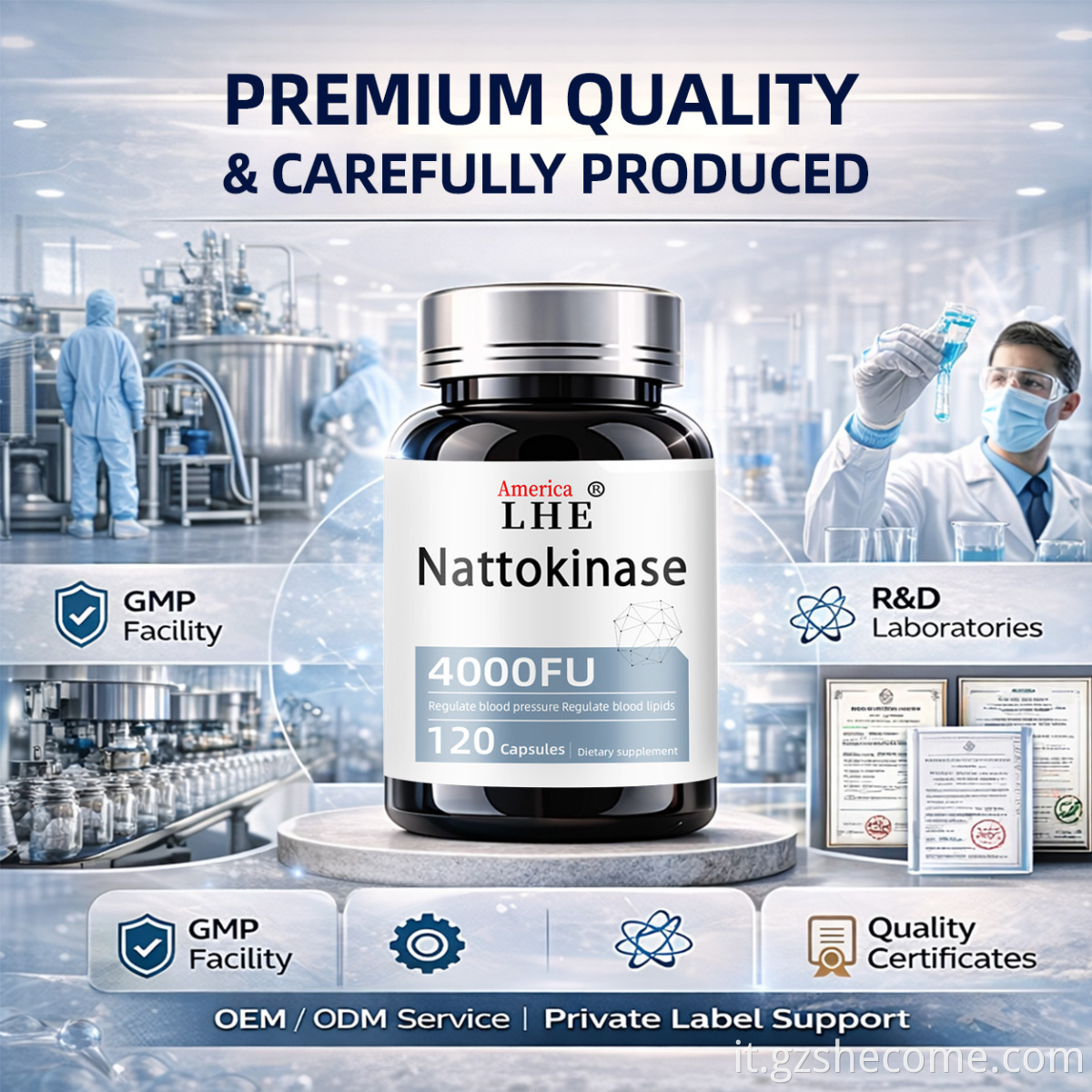 Nattokinase Capsules10